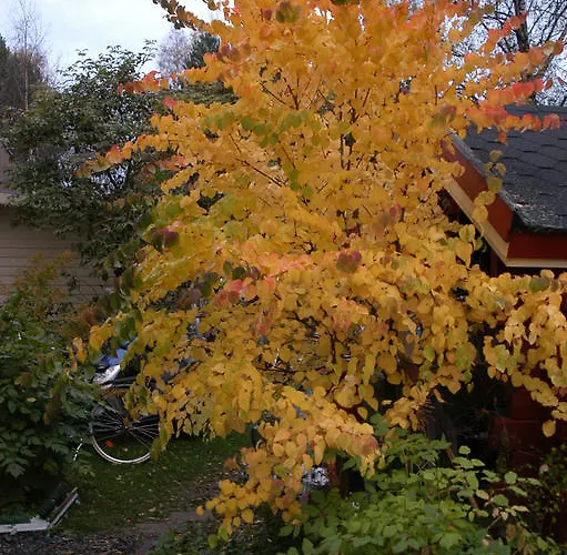 Bed and Breakfast E-city *